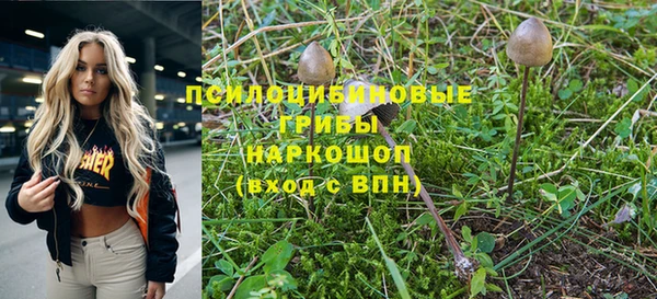ГАЛЛЮЦИНОГЕННЫЕ ГРИБЫ Алексин