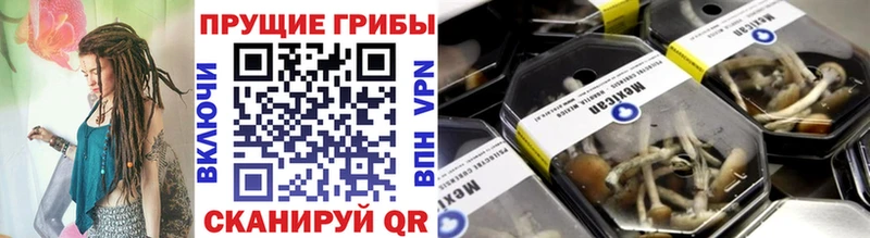 Псилоцибиновые грибы ЛСД  Тейково 
