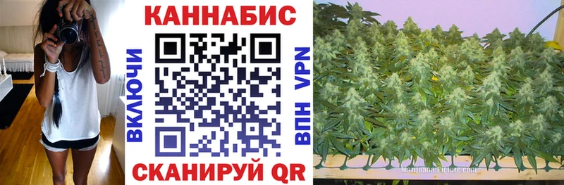 Шишки марихуана ГИДРОПОН  Тейково 